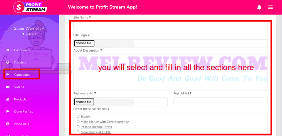 Profit-Stream-Demo-4-site-settings