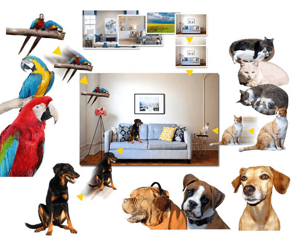 Best Stackable Images Stackable Picture Review & Price | Commercial Rights Included