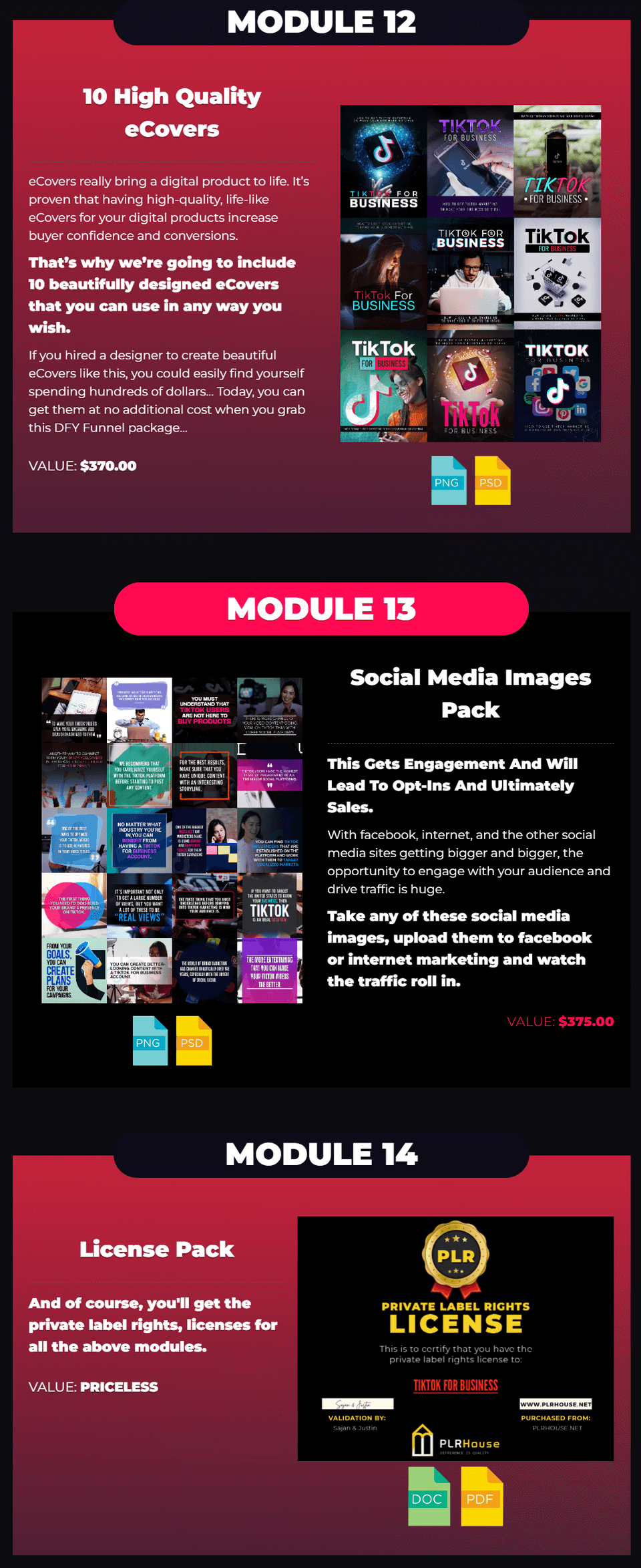TikTok For Business PLR Review: Should I Get This Product?